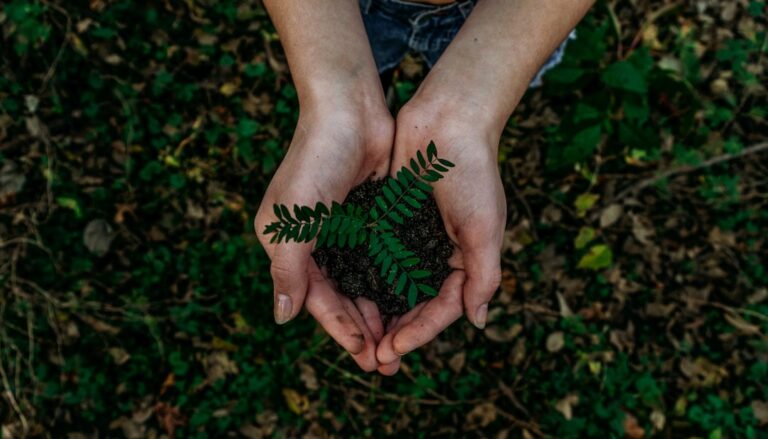 Reducing Waste in the Packaging Industry: Strategies and Best Practices